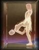Kamasutra VIIII W100