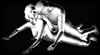 Kamasutra IV W100